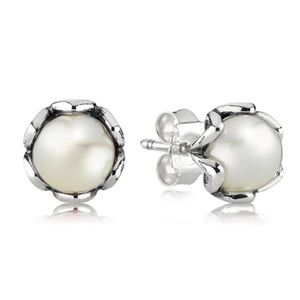 Pandora Cultured Pearl Stud Earrings